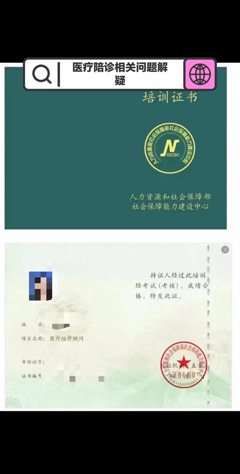 当医院迷宫遇上医疗陪诊速递：一个都市独居青年的真实救赎_一