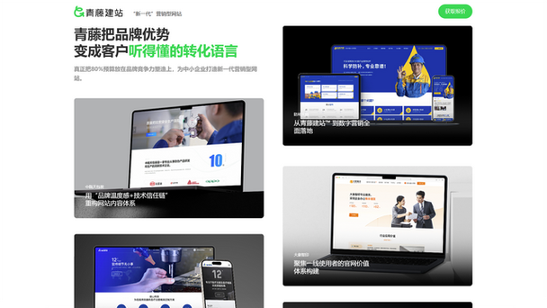 定制网站开发_1 定制网站开发_1