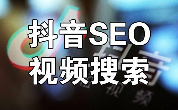 seo 短视频网页入口网站推广_2