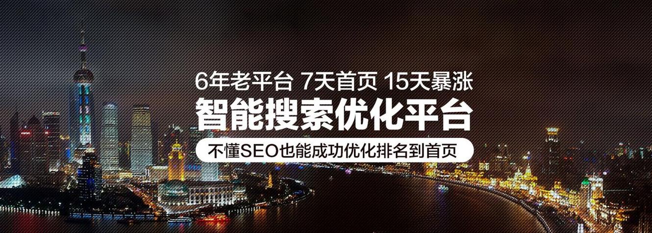 seo系统到底值不值得投入？我拿真实案例给你算笔账_1