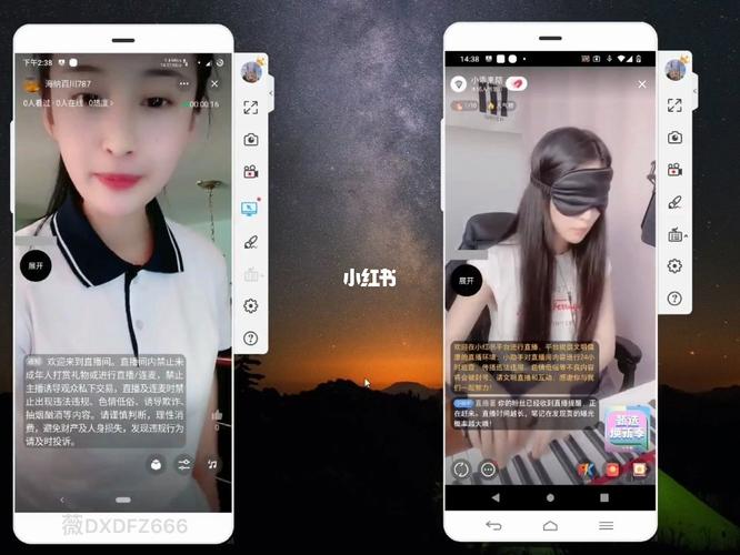 国外短视频平台实战指南：从零到爆款的真实路径_2